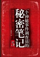 一个神秘事件调查员的秘密笔记5：长白山鬼王墓