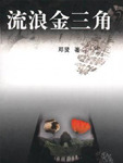 流浪金三角