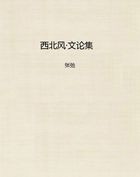 西北风·文论集
