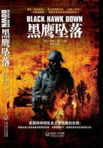 黑鹰坠落