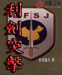 铁血佣兵：利剑突击