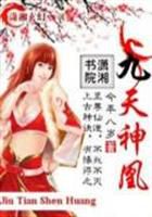 九天神凰